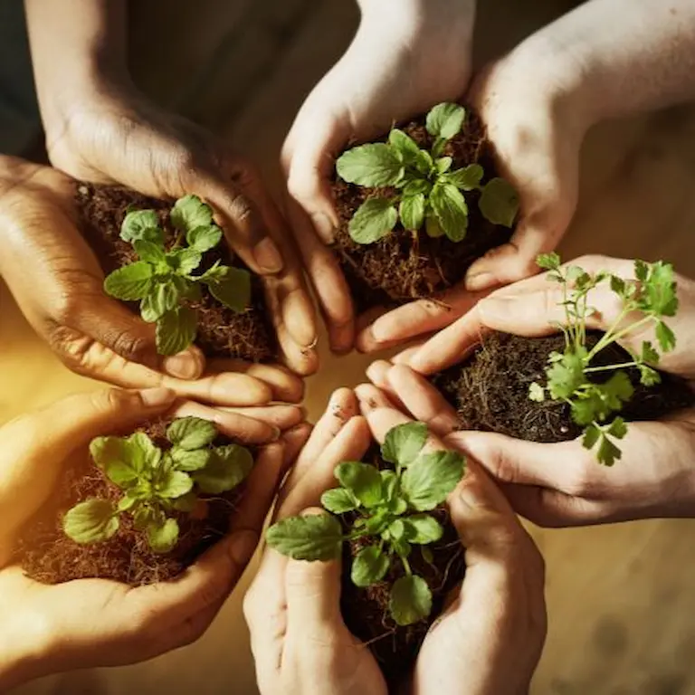 Hands caring for plants as part of Sakuna Apartment sustainability work